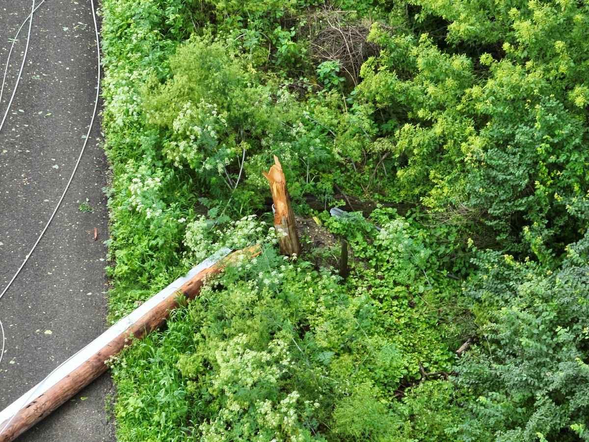 Crews continue to work to restore the remaining 5,800 customers without power. Today’s winds, with gusts up to 28 mph, contributed to an average of 24 new outages per hour, primarily caused by trees and branches down on lines.

We anticipate restoring power to 95% of affected