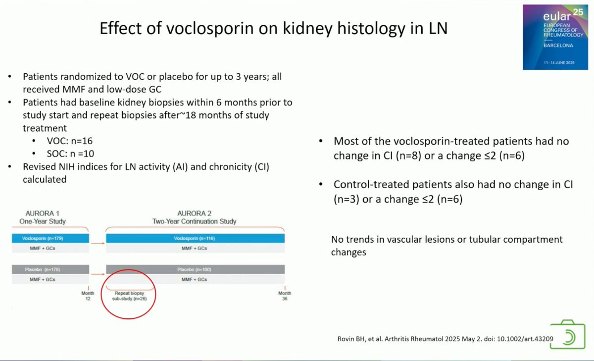 lupus_hub's tweet image. CONGRESS | #EULAR2025 | PLENARY SESSION
Antonis Fanouriakis, National and Kapodistrian University of Athens, highlighted recent advances in #lupus nephritis during his plenary session on #SLE.
· Higher initial GC dose was associated with better renal outcomes but also increased…
