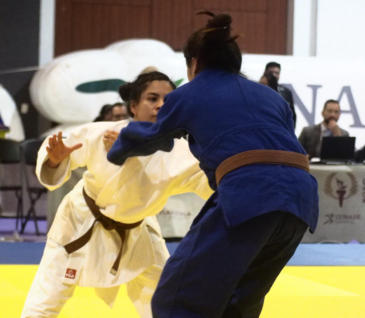 Conquista la judoca quintanarroense Valeria Escalante un metal de bronce para Quintana Roo en la Olimpiada Nacional CONADE 2025

Con esto, la Selección Estatal cerró su participación con siete preseas, dos oros y un bronce y, además, la entidad llegó a los 150 metales en el