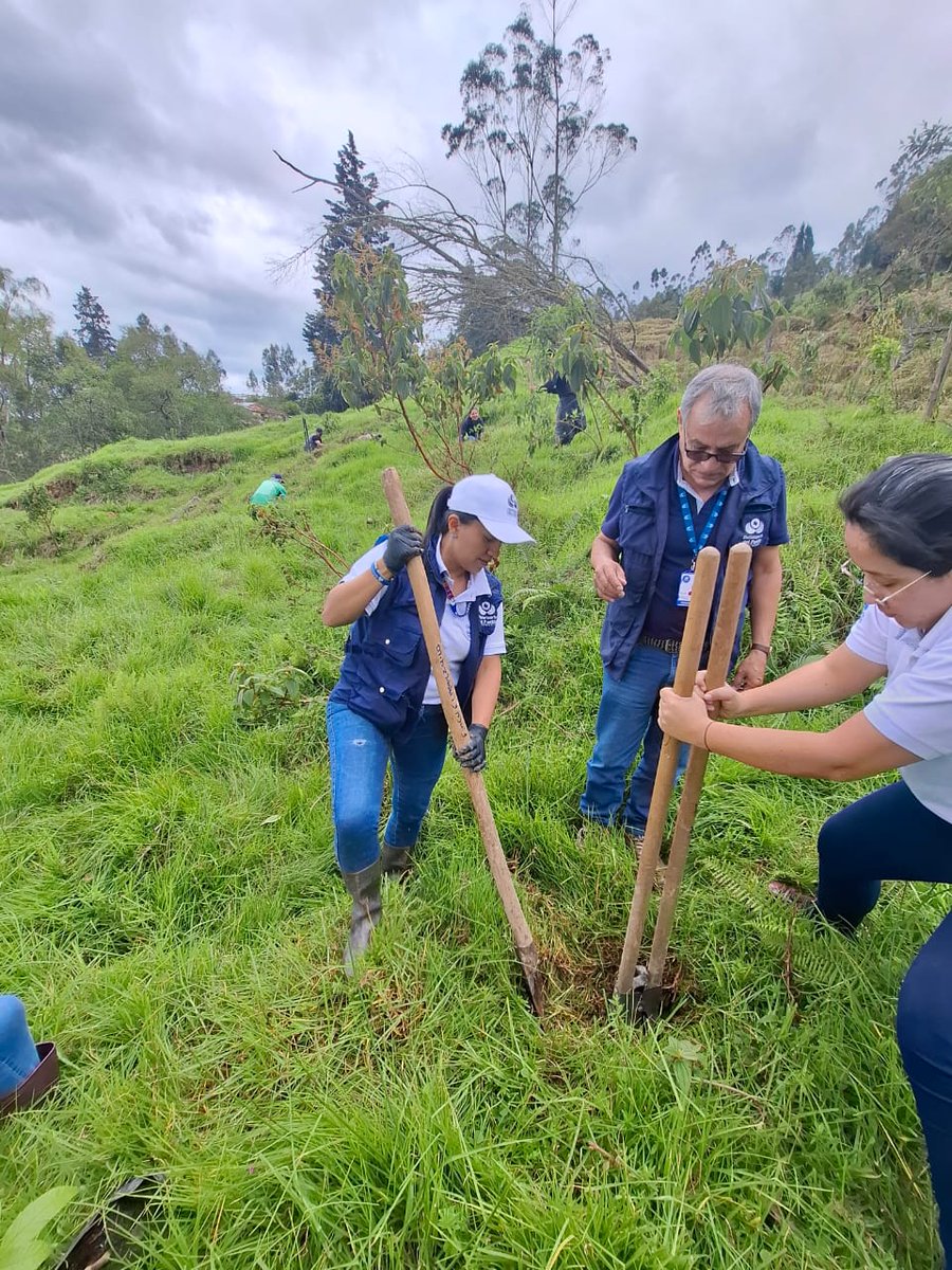 Conmemoramos el día mundial del ambiente en El Rosal, Cundinamarca 

Acompañamos a la comunidad campesina de la vereda Hondura Tibagota del municipio de El Rosal en la actividad de siembra de árboles nativos en la zona.

En la instalación de evento de conmemoración, hicimos un