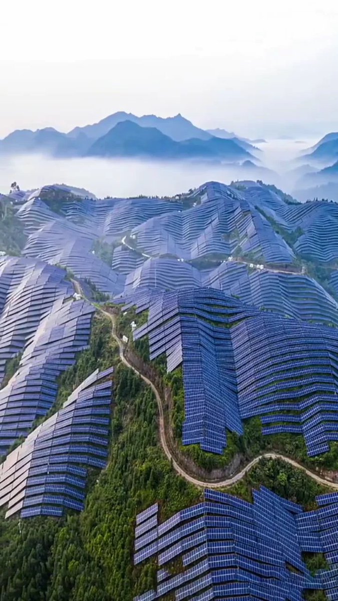 One of the primary reasons I have fought against "green energy" is because it is so environmentally destructive.