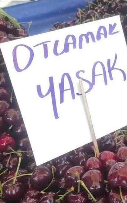 Tekirdağ kiraz festivalinde esnafın kirazın kilosunu 500 TL’den satarken ‘otlamak yasak’ uyarısı koyması da vatandaşların tepkisini çekti.