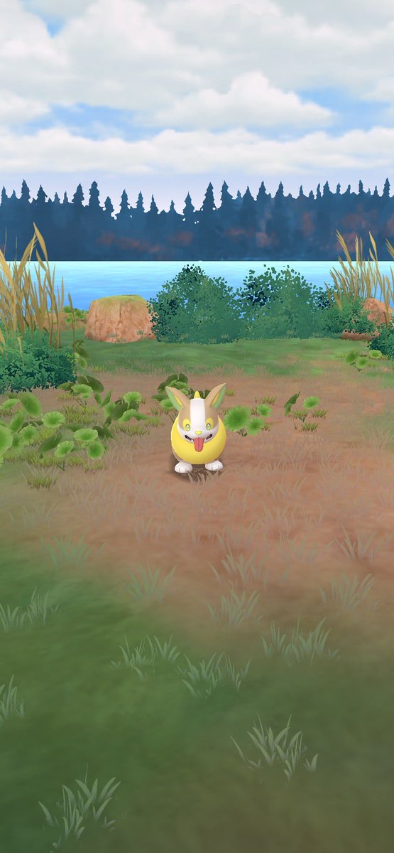 chaospixie6667's tweet image. New phone who dis…….it’s yamper.. #newpokemon #pokemon #pokemongo