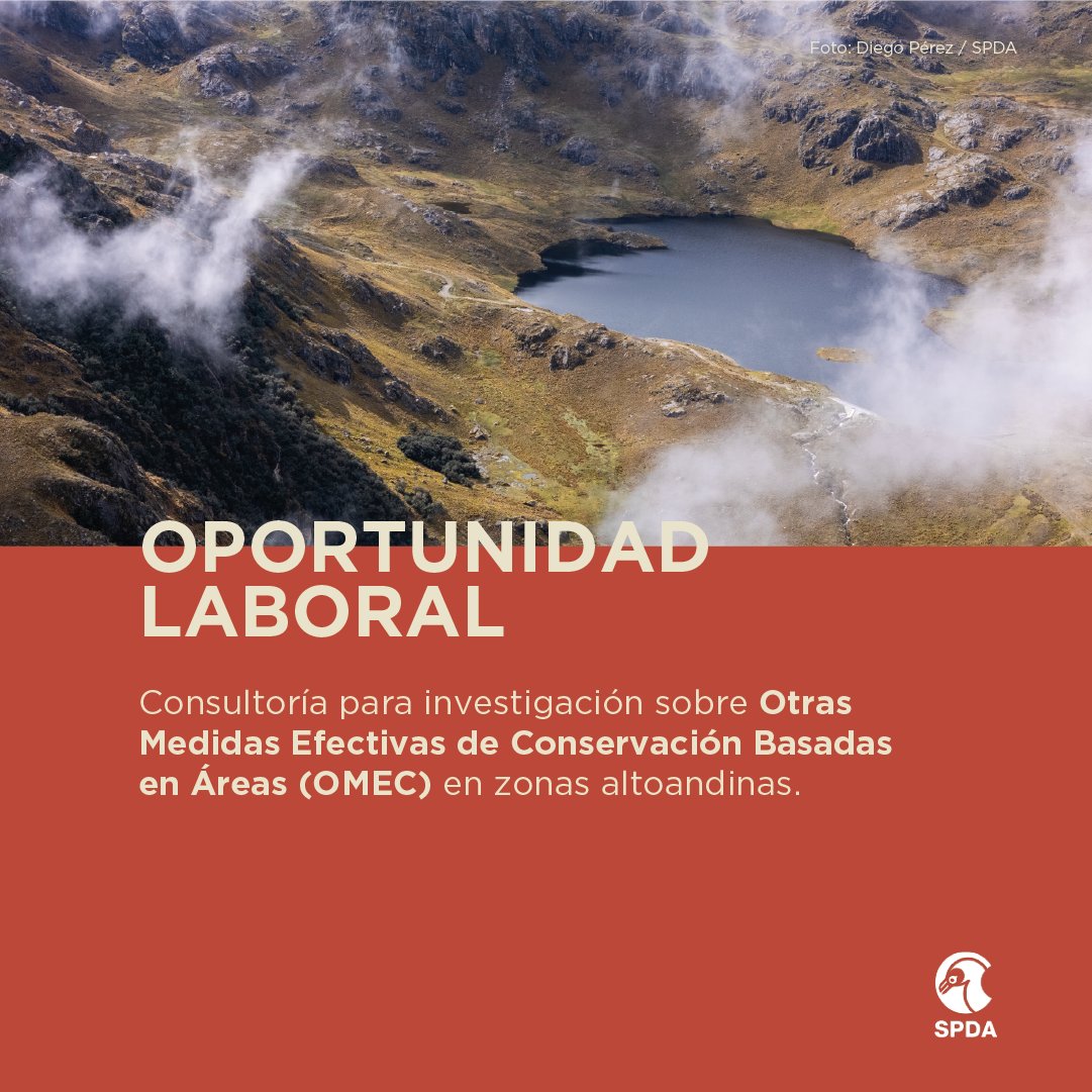 👩🏽‍💻👨🏽‍💻 #OportunidadLaboral | Consultoría para desarrollar una investigación en la que se analice potenciales oportunidades para la implementación de OMEC en zonas alto andinas
➡ Postulaciones hasta el 04/07/2025
➡ TDR: bit.ly/4jZkuVK