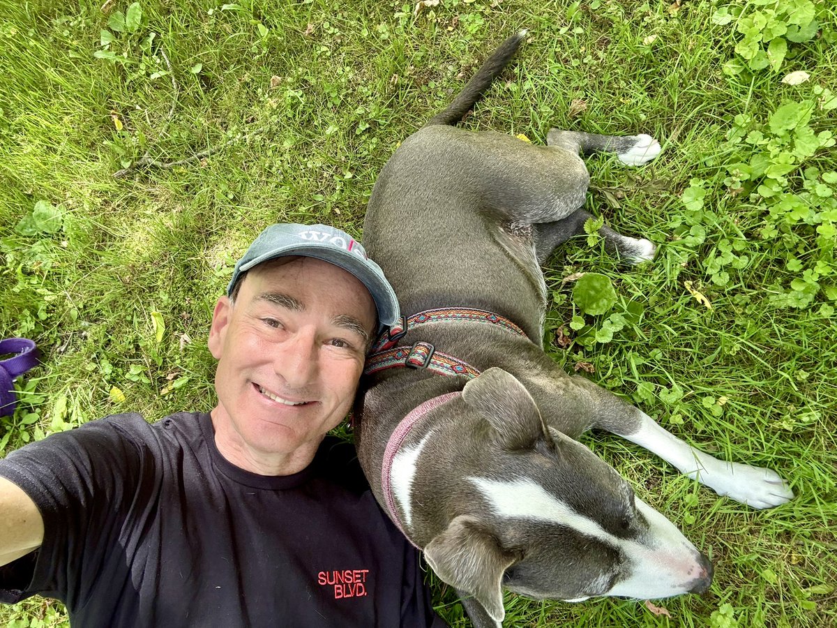 ChrisBohjalian's tweet photo. Back home with my Jesse, 47 pounds of sweetness and smiles and love. Is there anything better to come home to than a dog? #rescuedogs #pitbuls https://t.co/hndsNZsiRk