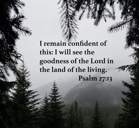 Len Vanden Bos (@lenvbos) on Twitter photo 