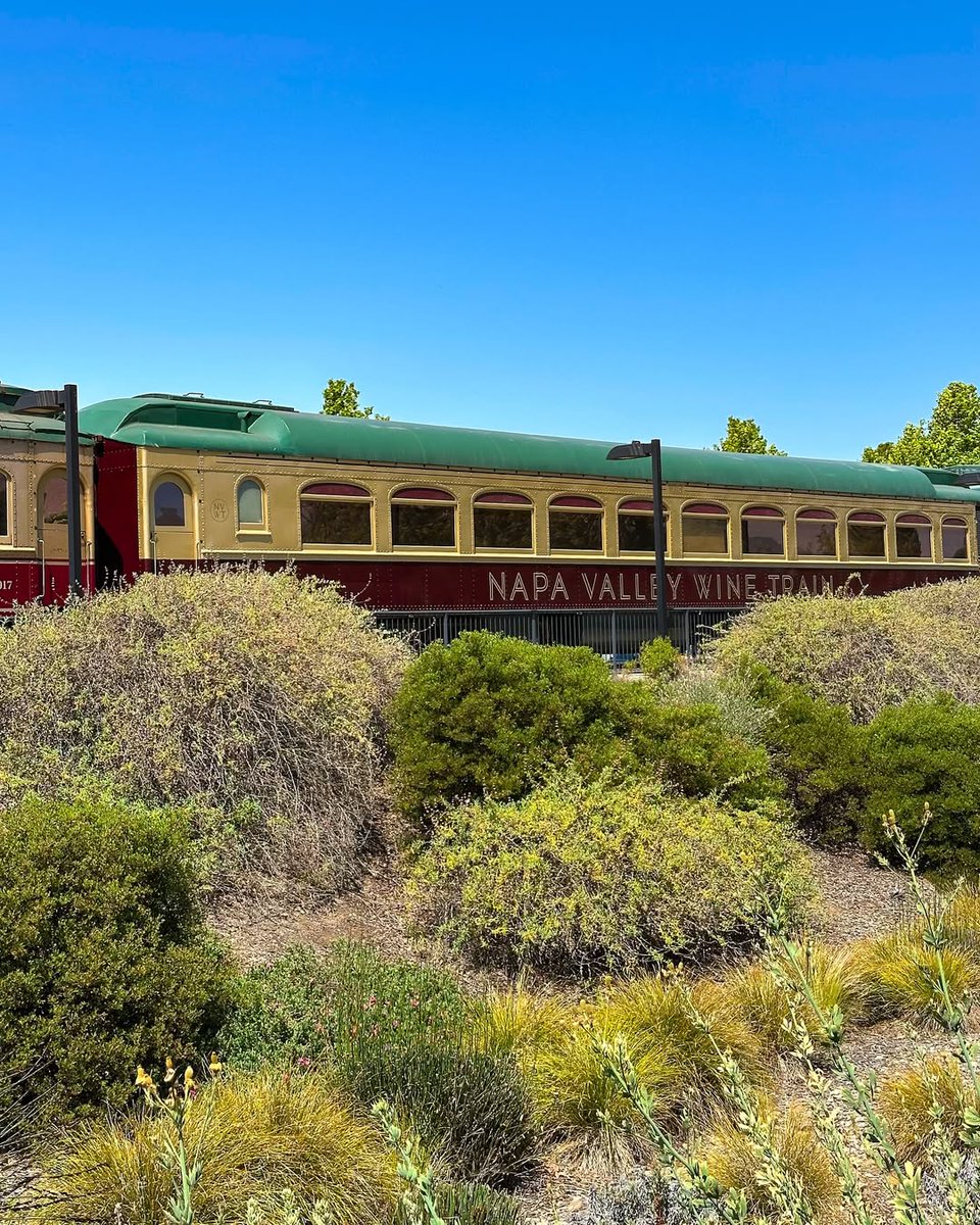 Refined, relaxed, and rich with flavor—Tasting on the Rails is your chance to explore the art of wine pairing while taking in the beauty of Napa’s vineyards. 🍷 

📸 on IG: caroliinemarra | #NapaValleyWineTrain