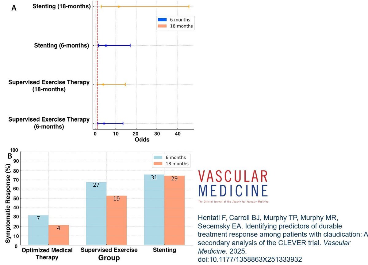 VascularMedicine (@vmj_svm) on Twitter photo Online First! Hentati and colleagues analyze data from the CLEVER trial, studying predictors of durable treatment response among patients with intermittent claudication. 
doi.org/10.1177/135886…
#PeripheralArteryDisease Online First! Hentati and colleagues analyze data from the CLEVER trial, studying predictors of durable treatment response among patients with intermittent claudication. 
doi.org/10.1177/135886…
#PeripheralArteryDisease