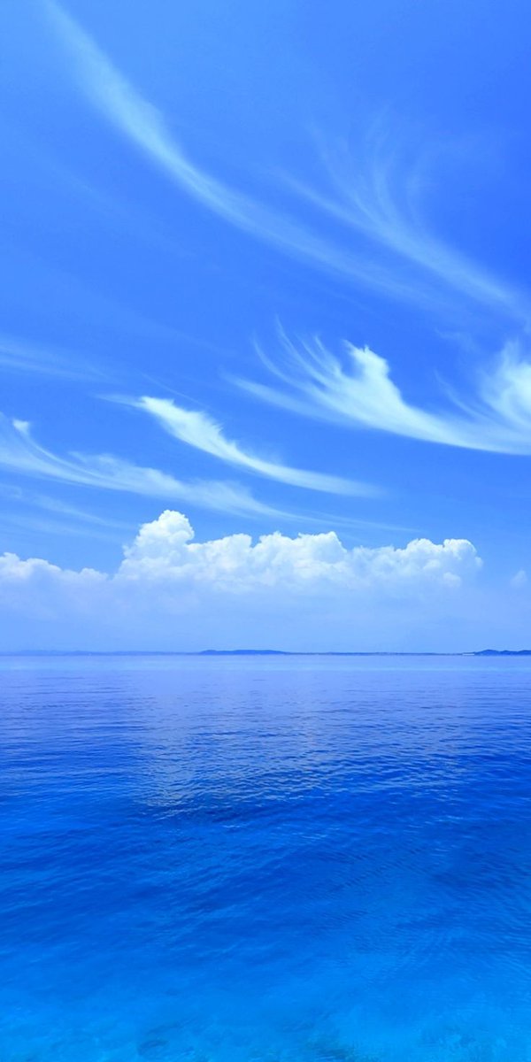 Өглөөний мэнд. Өнөөдрийн ажил үйлс нь өөдрөг бүтэмжтэй байгээ 🥰🥰🥰