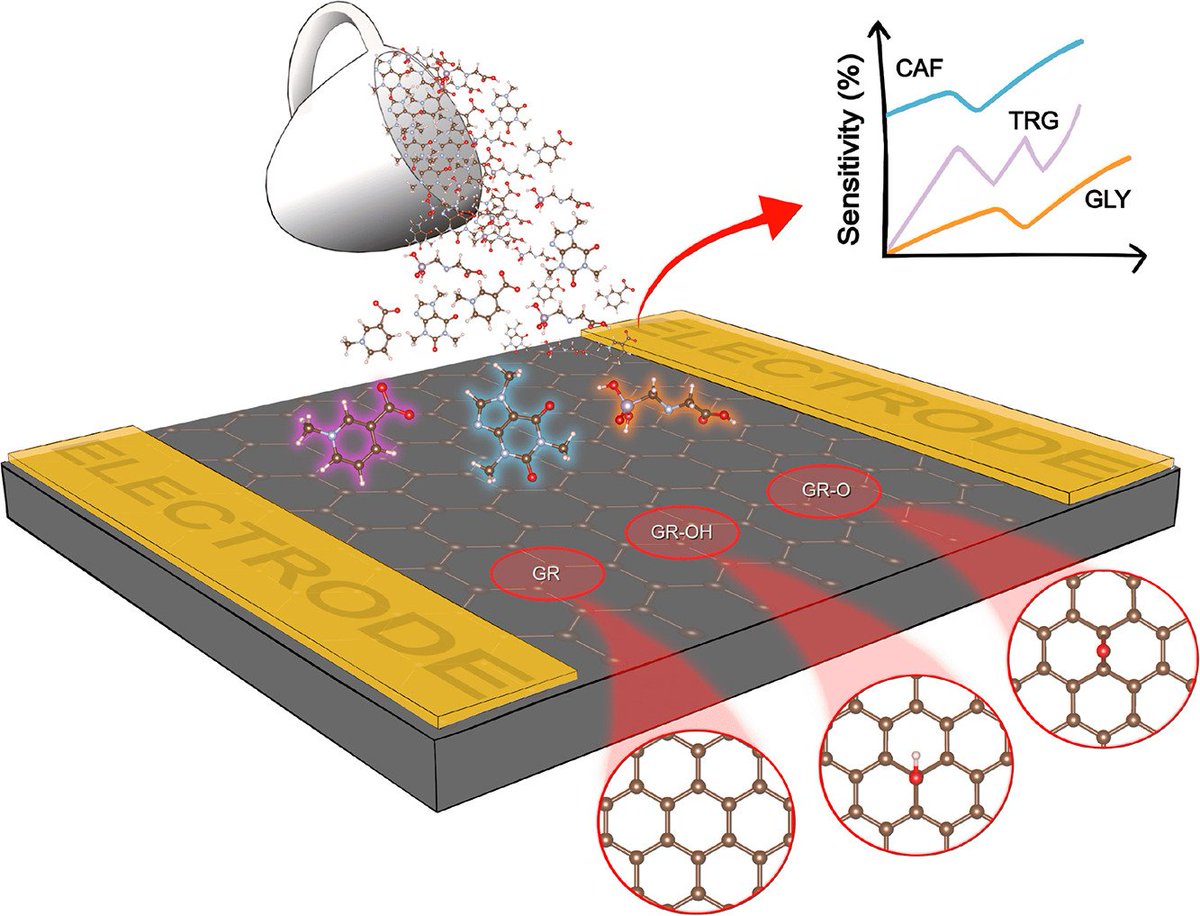 LMC_UFES's tweet photo. Functionalized graphene sensors for detecting coffee-related compounds 
https://t.co/Pw63NTcX7H
@ufesoficial @uff_br  @jairccfreitas https://t.co/2BUqbZEwVJ