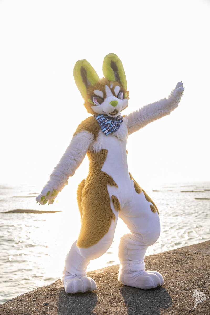 GOOD MORNING!
#FursuitFriday 
#fursuitfriday