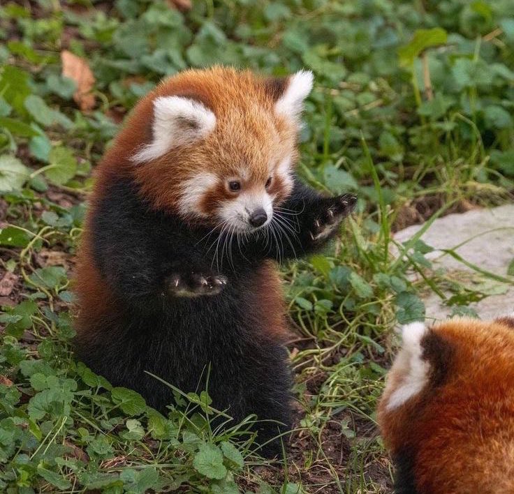 "There are two paths ahead, friend. One is at first arduous, but eventually pleasant."

"The other seems at first pleasant, but soon proves difficult."