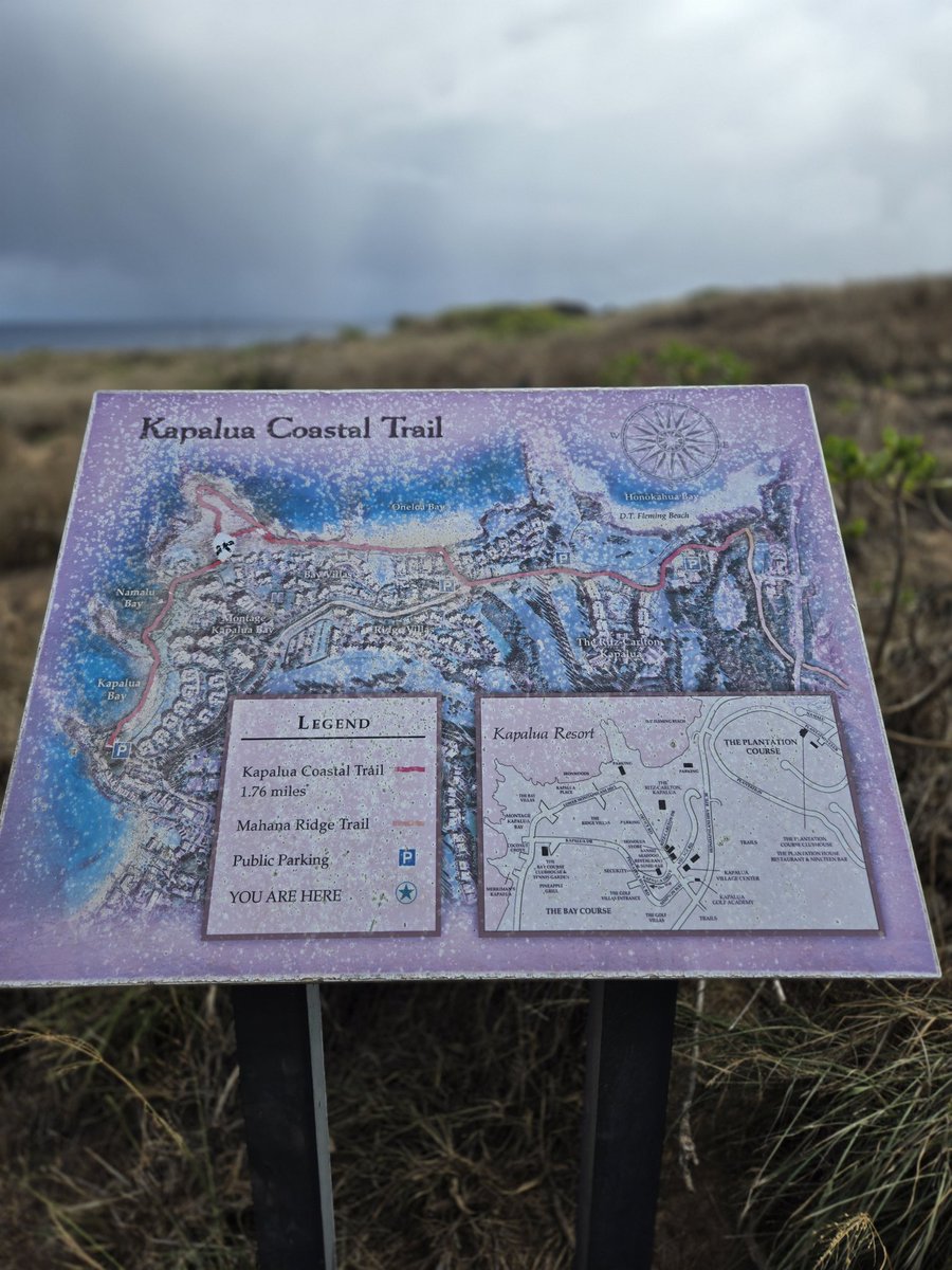 Rich1ill's tweet image. I've been blessed to have 20 consecutive mornings in #Maui this vacation and each day i woke up and walked this trail. Never sick of the view and the hills are bearable. This is my kind of #cardio
#health #exercise #longevity #fitness #movement #workout #strength #stability
