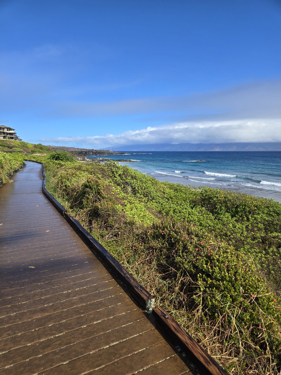 Rich1ill's tweet image. I've been blessed to have 20 consecutive mornings in #Maui this vacation and each day i woke up and walked this trail. Never sick of the view and the hills are bearable. This is my kind of #cardio
#health #exercise #longevity #fitness #movement #workout #strength #stability