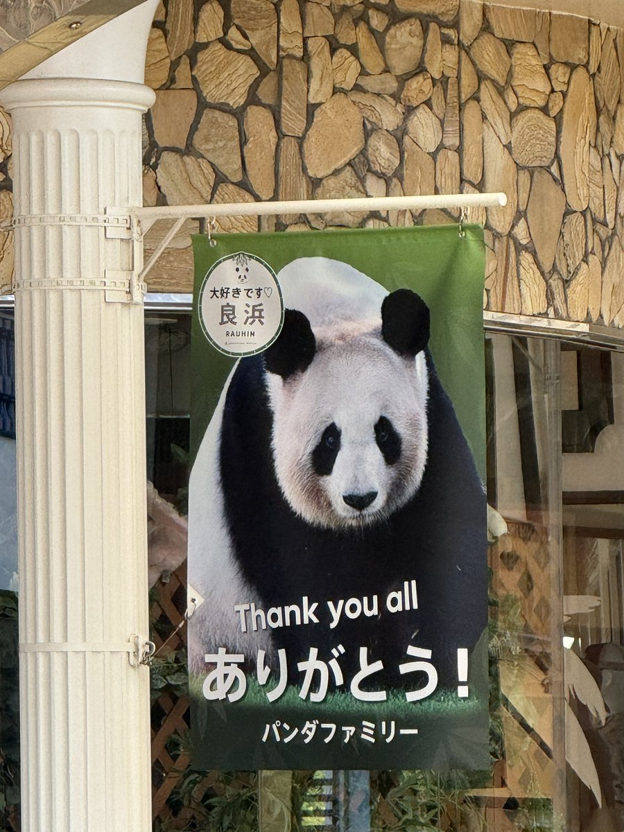 楓浜、良浜、彩浜、結浜、パンダファミリーうちわ 40302-975-