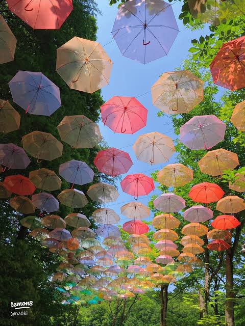 Intervenciones que cambian el paisaje 
🌳 ☂️ ⛱️ ⛱️ ☂️🌳
Síguenos en Instagram: 
instagram.com/_lepmx?igsh=d3…