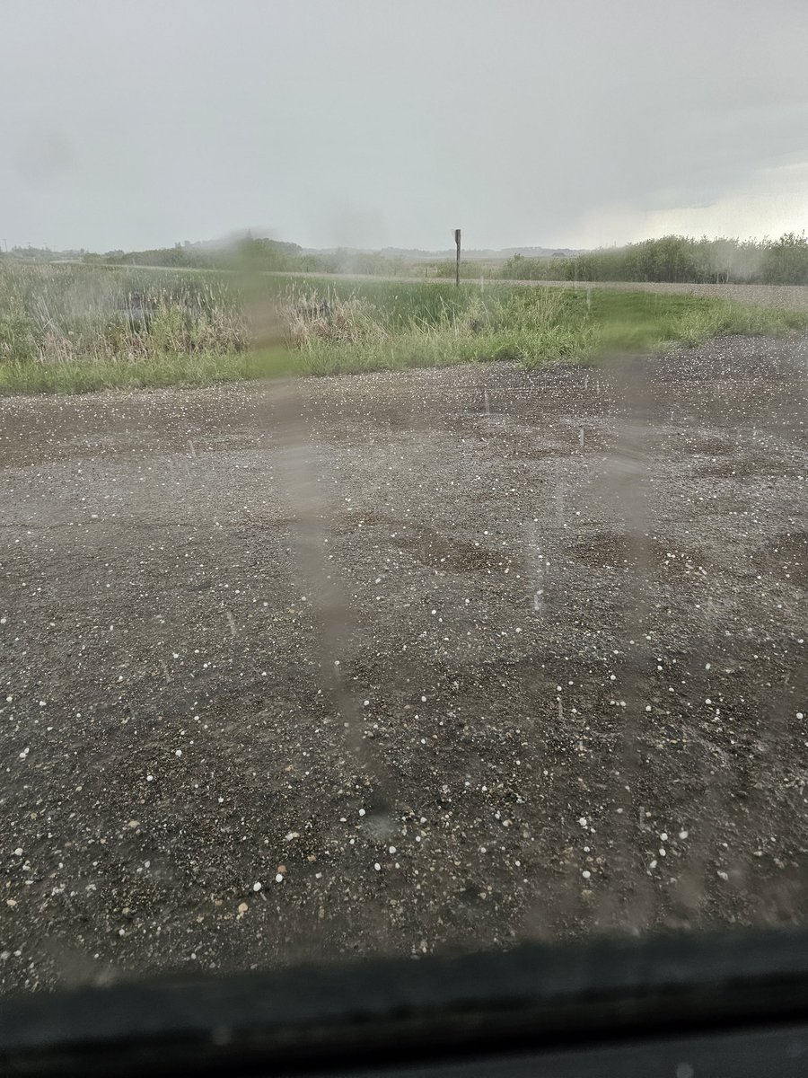 Dime to pickle sized hail with storm east of broadview 

#skstorm