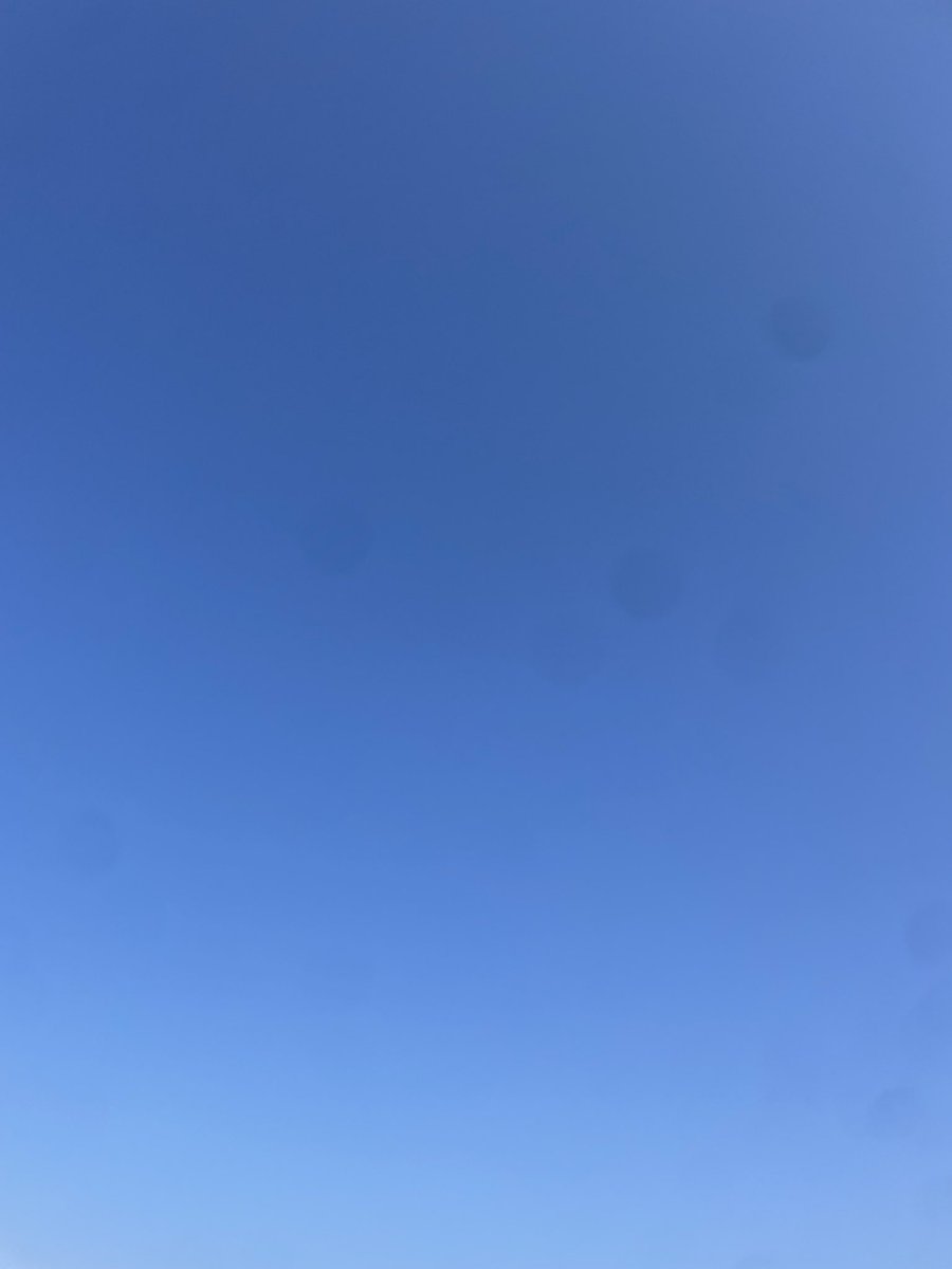 青色センセーション💙

#カターレ富山