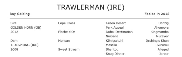 Coolmore juggernaut won three of four stakes races at Royal Ascot on Day 3, but not the prized feature on the card, the G1 Ascot Gold Cup won in dazzling course record time by a Godolphin homebred  breednet.com.au/news/40017/roy… <a href="/godolphin/">Godolphin</a>