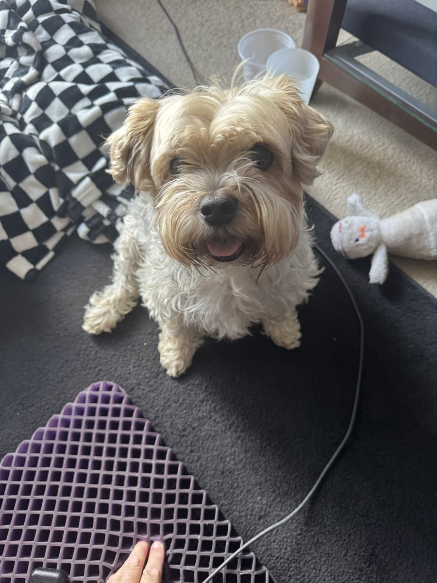 HaroldWren22's tweet image. New nickname: Lance Criminal.
My Devil Dogs out there will get the joke.
#thief #unrepentant #noshame