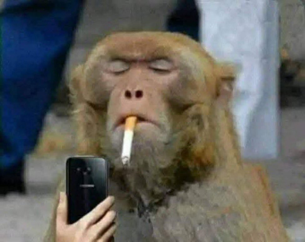 Me looking at your last poast