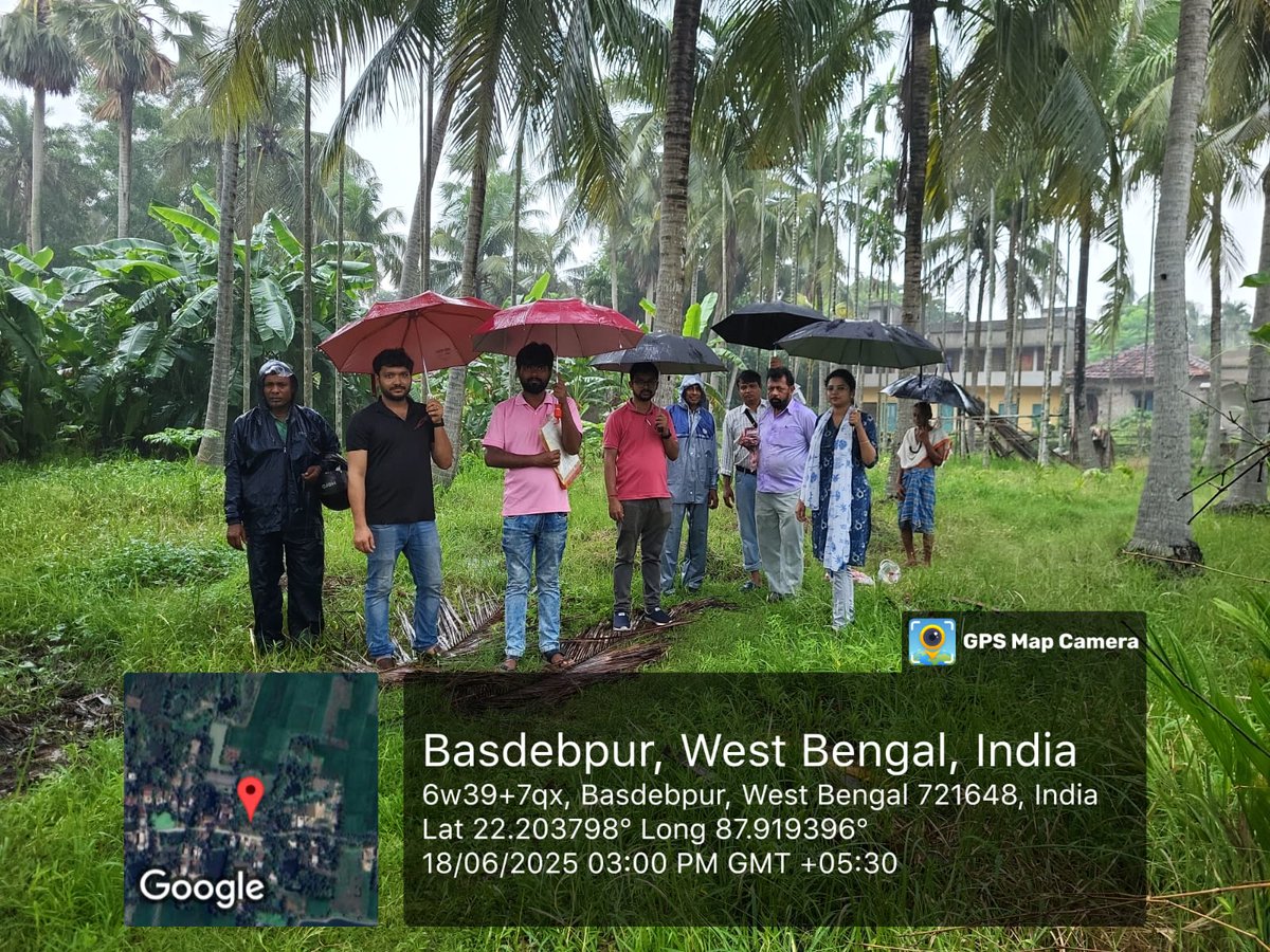 CoconutBoard's tweet image. Joint inspection for mother palm identification was conducted on 18.06.2025 in Mahishadal &amp;amp; Nandakumar blocks, Purba Medinipur by CDB, KVK, and Dept. of FPI &amp;amp; Horticulture officials along with farmers' representatives.
#CoconutDevelopment #Medinipur