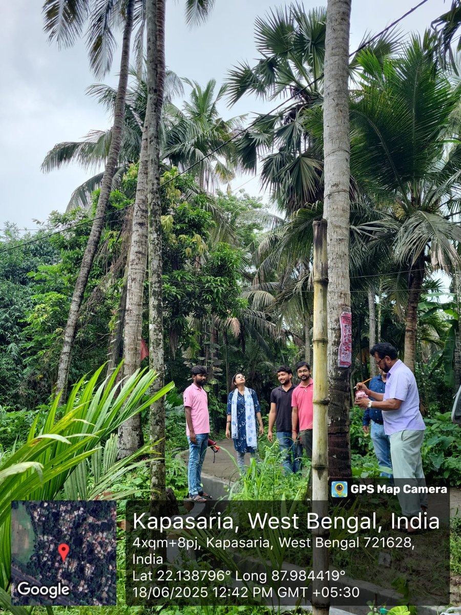 CoconutBoard's tweet image. Joint inspection for mother palm identification was conducted on 18.06.2025 in Mahishadal &amp;amp; Nandakumar blocks, Purba Medinipur by CDB, KVK, and Dept. of FPI &amp;amp; Horticulture officials along with farmers' representatives.
#CoconutDevelopment #Medinipur