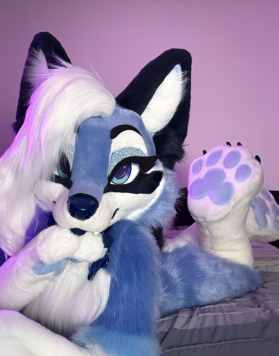 IceyFoxx_'s tweet image. Some beans for your viewing pleasure 🫴

#FursuitFriday