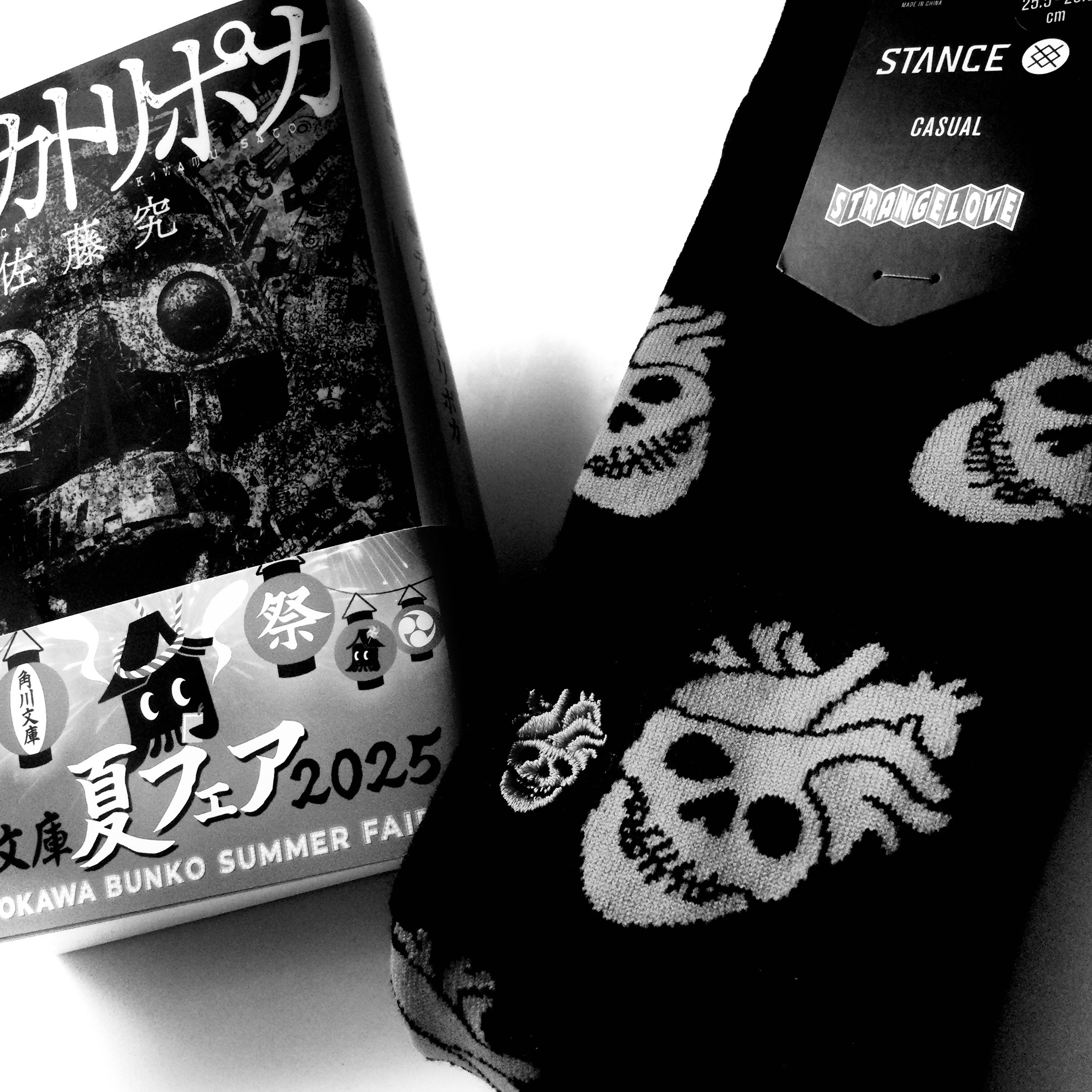 佐藤究 kiwamu sato on X: 