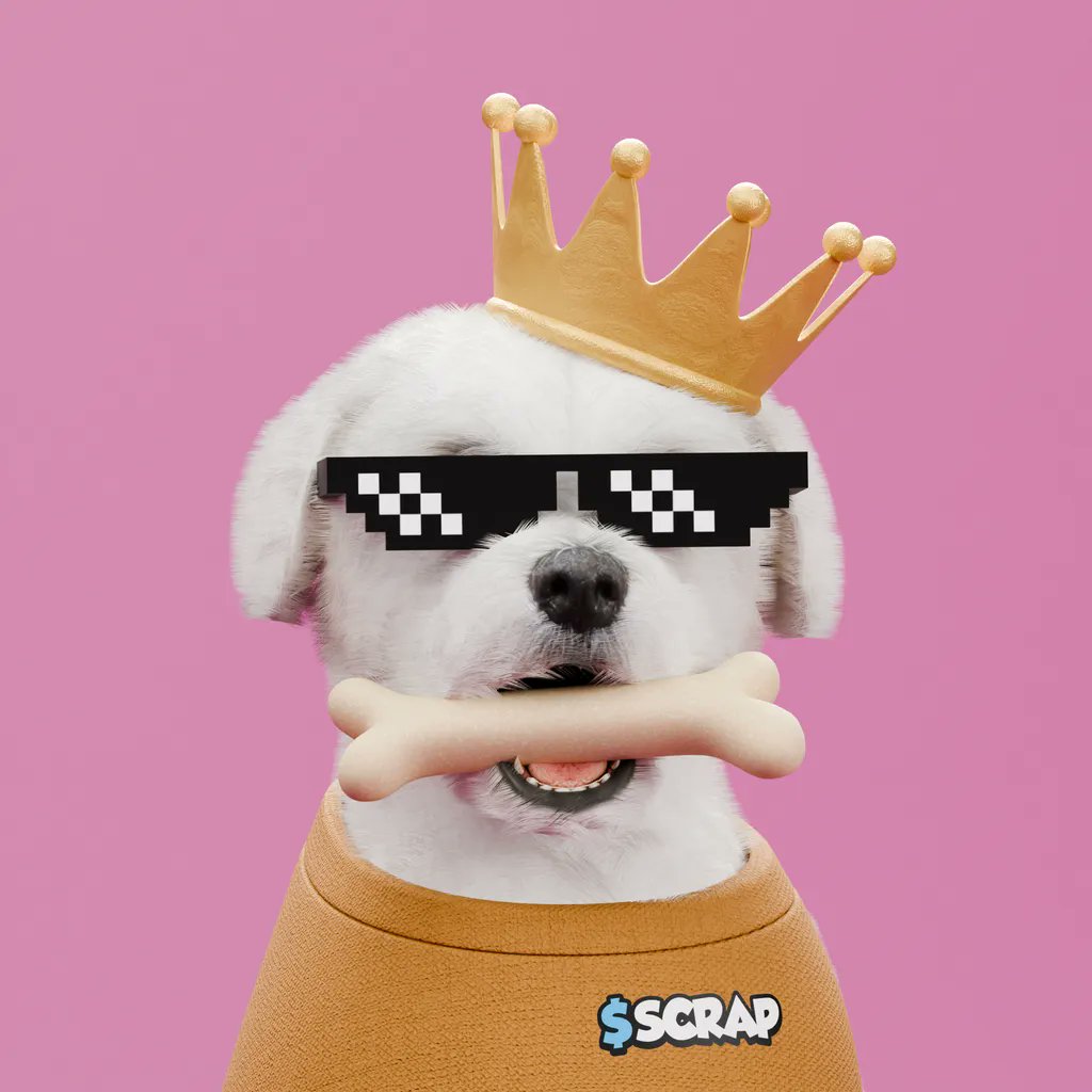 Scrappys!

$XRP has #NFTs !!!

Its time for a nice Weekend Giveaway! 🐶

🔹Share a Scrappy Meme or NFT
🔹Tag <a href="/scrappyxrp/">Scrappy</a> and <a href="/xrpcafe/">xrp.cafe ☕</a> 
🔹Tag a Dogfriend

5 Winners will be announced on Monday

Enjoy your weekend! 🩵🩵🩵

#XRPHASNFTS