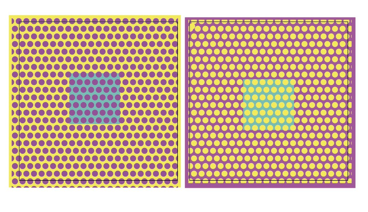 こんな伸びると思ってなくって撮り方雑でゴメン、少し明暗があった