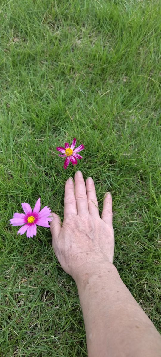 🌊 <a href="/opensea/">OpenSea</a>   
I am touching grass 
#openseatouchgrass
