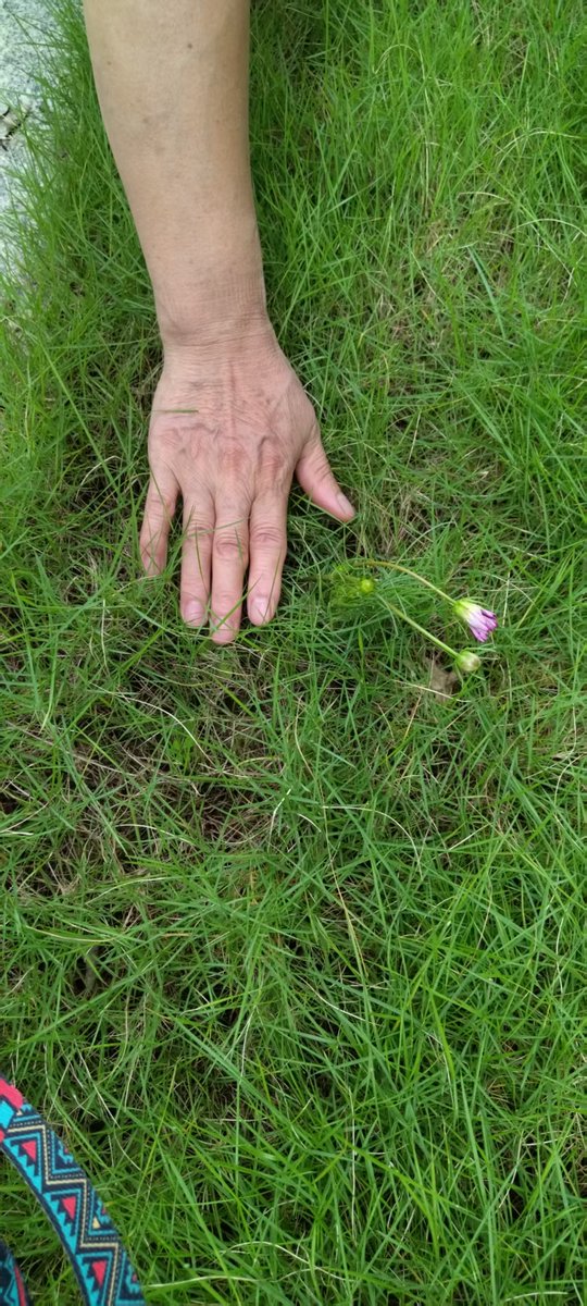 #openseatouchgrass
touch grass ,so ?