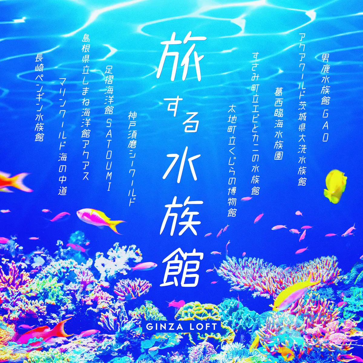 神戸須磨シーワールド on X: 