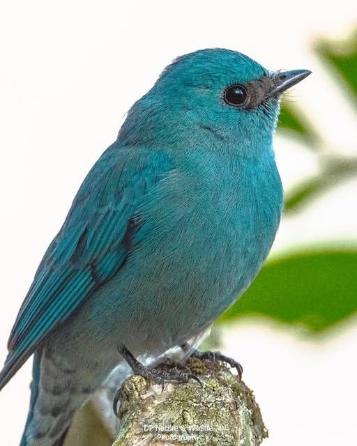 life_wild21208's tweet image. 