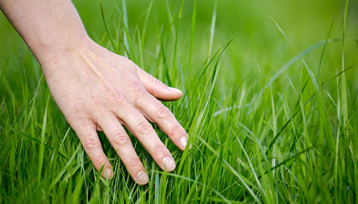 #openseatouchgrass <a href="/opensea/">OpenSea</a>