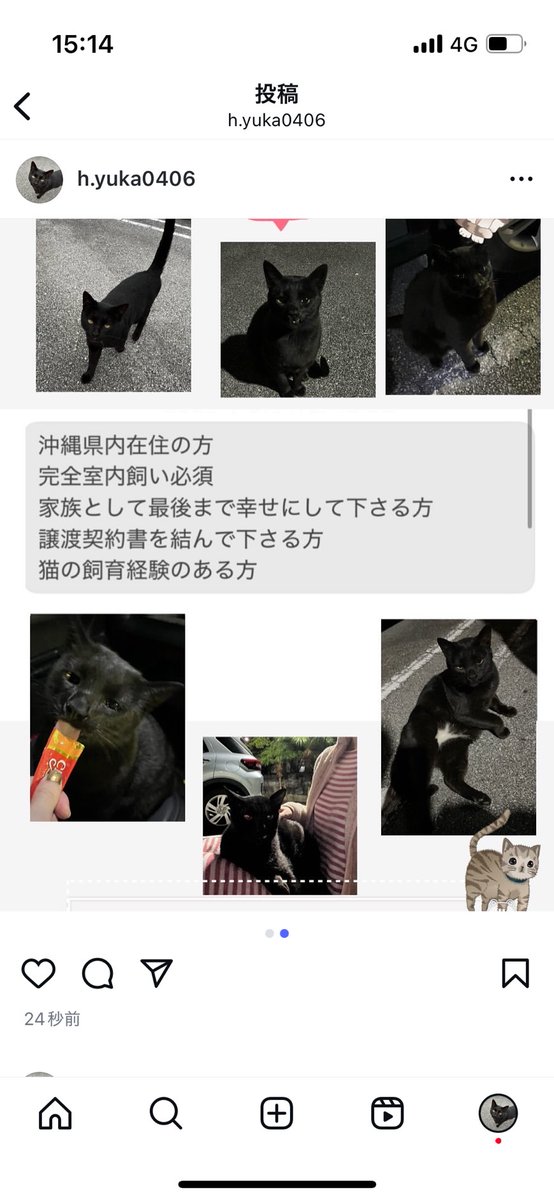 沖縄県在住の方で、にゃんこの里親さんを募集しています！
自分の親が保護猫の活動をしておりまして、そのお知り合いの方からの拡散希望だそうですm(__)m

もし、受け入れ可能な沖縄在住のかたがいらっしゃいましたら、下記リンクからお問い合わせをお願いします！

jmty.jp/okinawa/pet-ca…