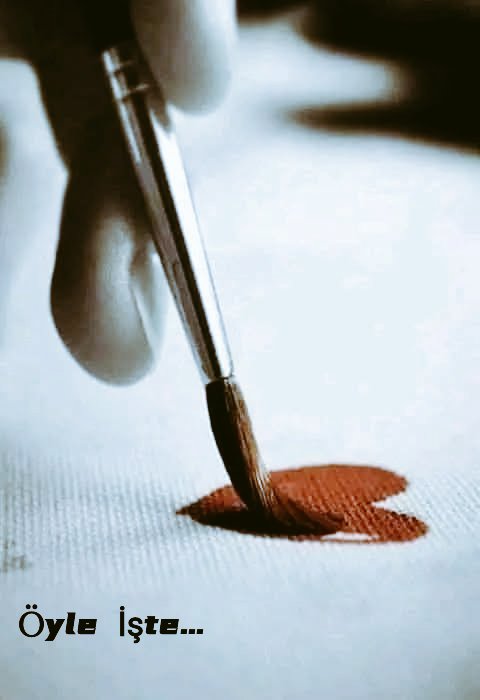 ***
Zorlama,
"Ya kalbin kırılır,
Ya hevesin"  diyen şair,
Sen haklıydın...✍️

#Günaydın ☕🌻🌿🌸
#HayırlıCumalar 🙏