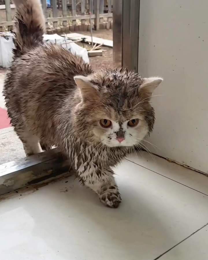 리그로우 저거 또 거지꼴로 돌아왔네