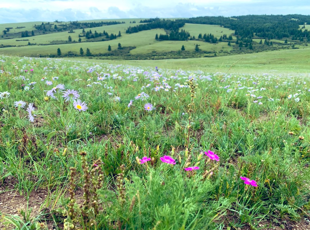 Өглөөний мэнд хүргэе. 
Та бүхнийхээ баасан гаригийн ажил үйлсэд нь амжилт хүсье. 
Амралтын өдрүүдээр их хална гэвүүдээ.