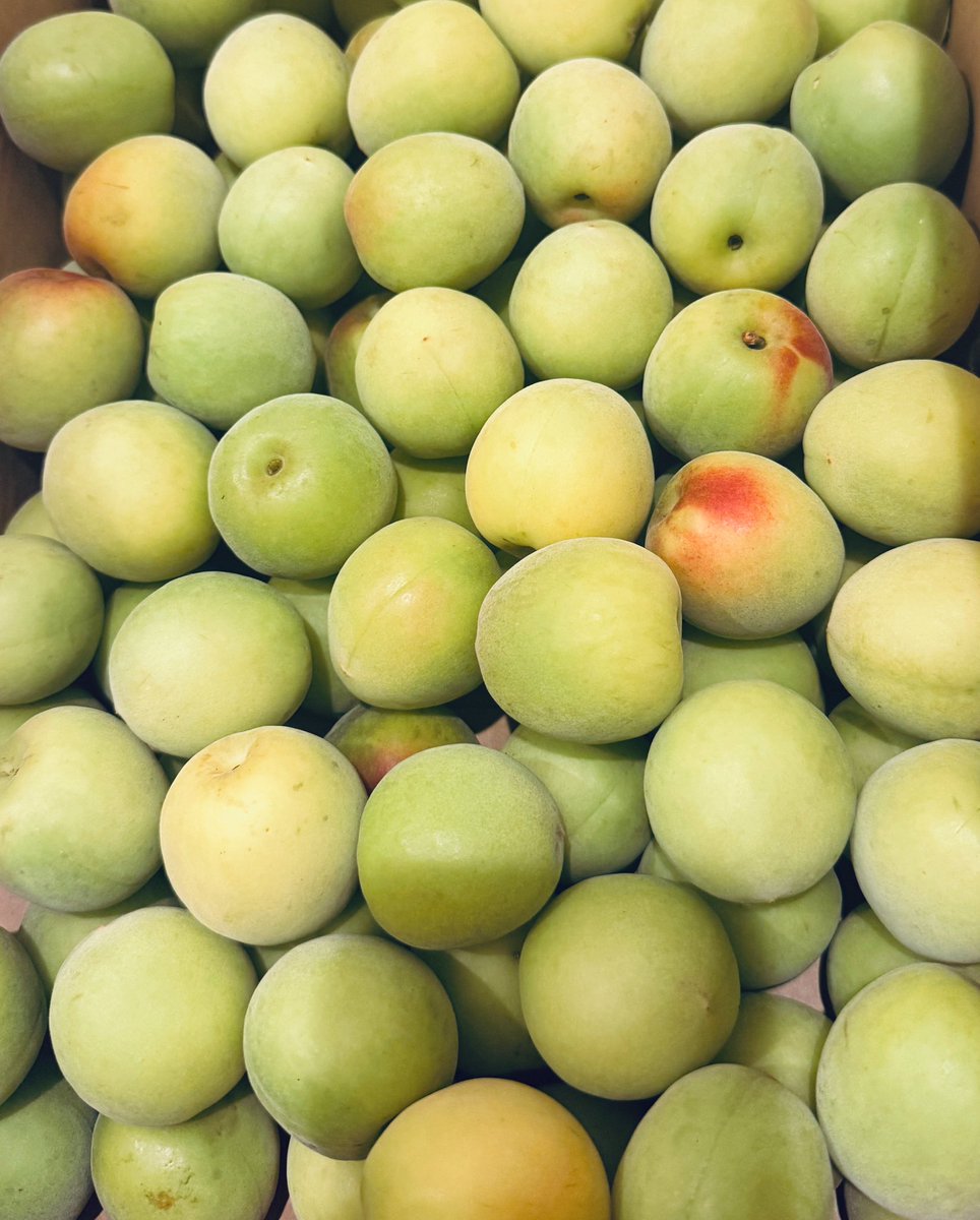 今年も梅仕事やるぞ〜🟢