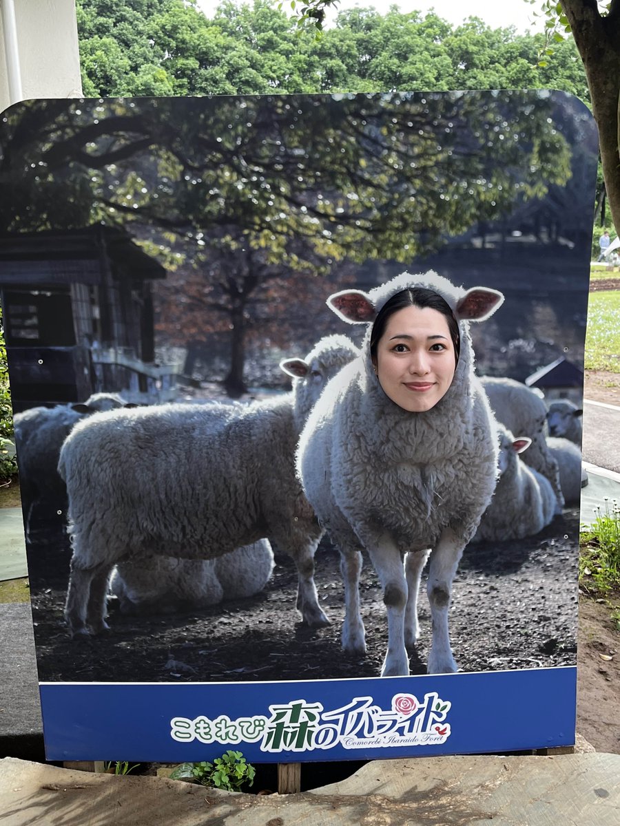 みんな暑くてしんどいと思うから無加工の羊女将見て元気出して🐏