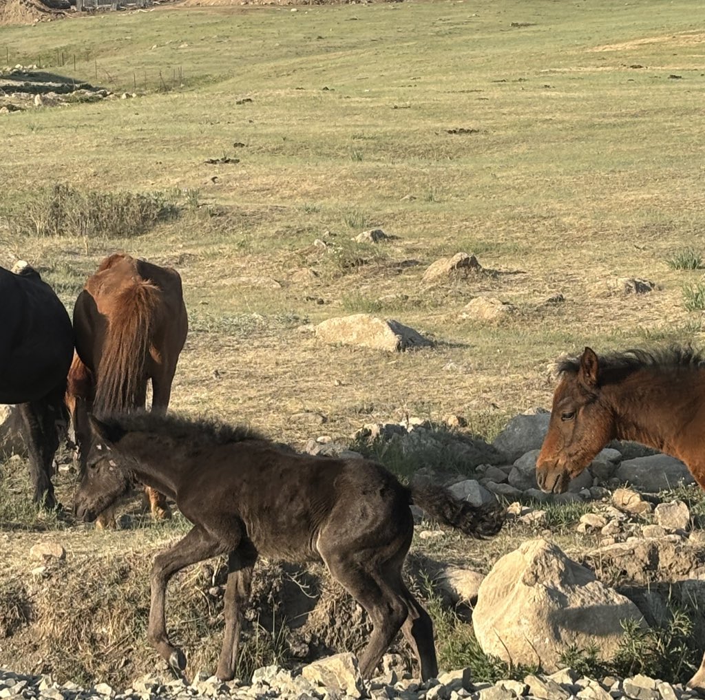 CoolFriday🍀<a href="/HunIneemtgii/">тоног төхөөрөмж захиалга, худалдаа</a> <a href="/Tserenbada65798/">Дүрлэнээ</a> <a href="/khbobunaguai/">💥</a> <a href="/NamaskaramSaroo/">Сароогуаᠰᠠᠷᠤᠭᠤᠸᠠशेर</a> <a href="/olonr_R/">ОЛОНБАЯР Рэнцэндаш</a>  <a href="/erdenehishig/">Erdenehishig</a> <a href="/Esko_esk/">Esko</a> <a href="/EnhboldJuu58336/">Ж.Энхболд</a> <a href="/erkaaclock2099/">Эрка</a> <a href="/erdecriminalist/">Эрдэ</a> <a href="/Erdenebatts/">Ц.Эрдэнэбат</a> <a href="/n_norov/">Нацагдоржийн Норов🇲🇳</a> <a href="/Gankhuyag11/">PLANNER</a> <a href="/Ganaa68526547/">Ganaa</a> <a href="/GalsanBayarbat/">BAYAR</a> <a href="/4712Ganbaa/">ganbaatar ❄️</a> <a href="/LTsogtbayar/">Lkhamsuren Tsogtbayar</a> <a href="/Lucky58006196/">Lucky 🌺Азаа🌺</a> <a href="/JargalEnkhiin/">Enkhiin Jargal♡💜♡</a>