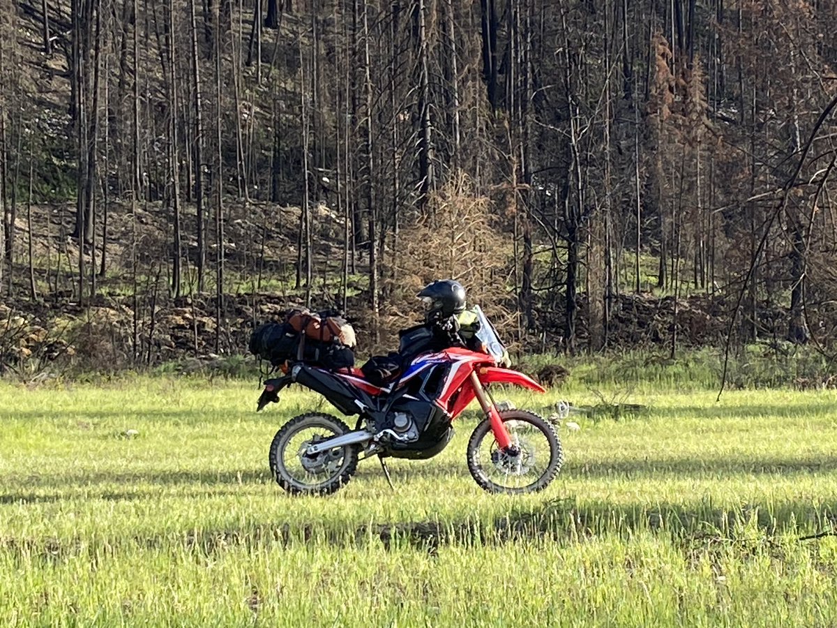 Jeremy_Kroeker's tweet image. Honda CRF300L Rally First Impressions (I switched from a KLR650) youtu.be/-eLZsgLFPb8?si… via @YouTube