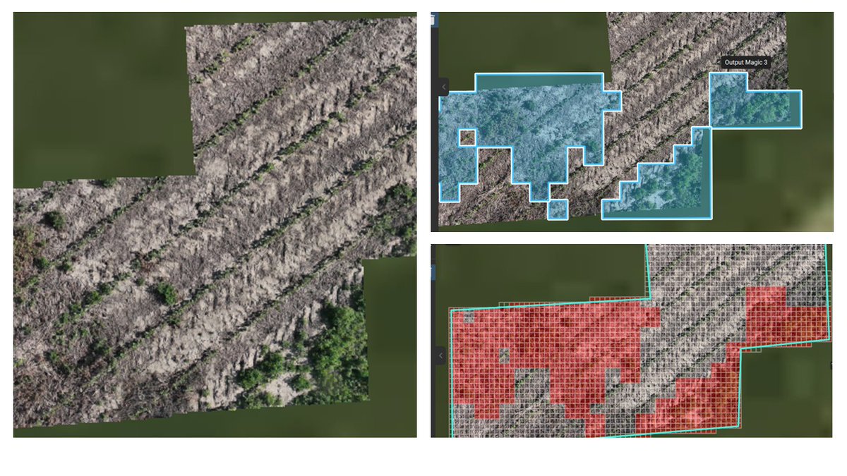 Prescription maps when well developed can be exported for targeted applications using ground sprayers and certain spray drones. Just prepping for actual data to come. Stay tuned!