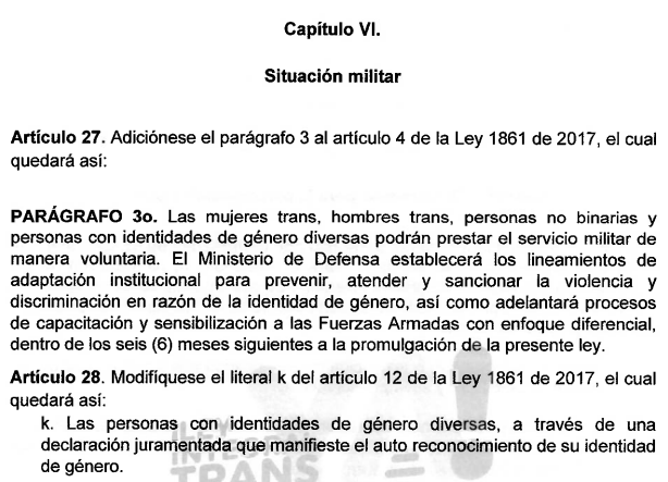 Ese proyecto de Ley Trans permitirá a los jóvenes de sexo masculino cambiarse la identidad de género a "trans/travesti", o "no binario", y así saltarse el servicio militar obligatorio. Solo hace falta una declaración juramentada, sobre la cual no se puede exigir sustento alguno.