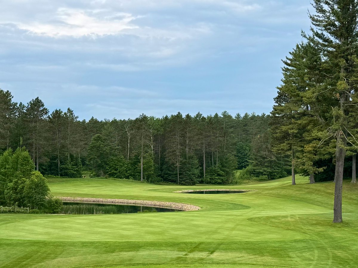 Badger Golf Nut tweet media