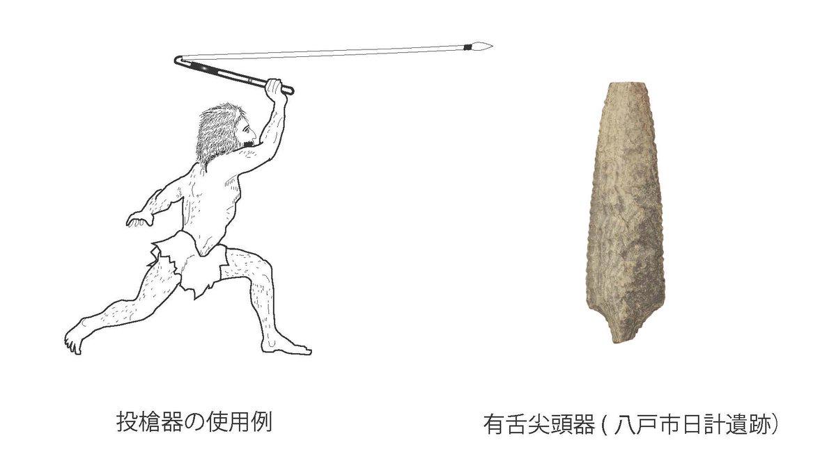 特別展「縄文時代のはじまり」展示品紹介】 有舌尖頭器は、根元が舌状