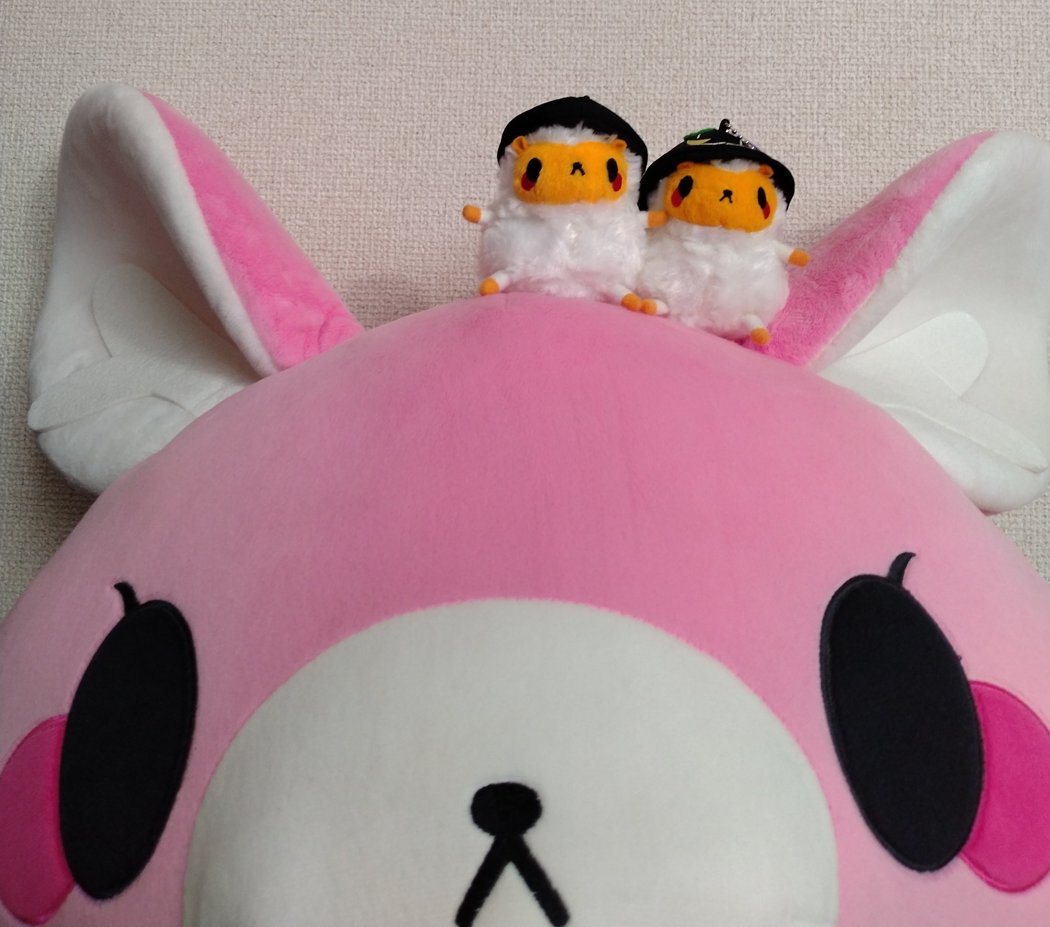 ブランド一覧 | ワールド オンラインストア Ririha on  X: ぬいぐるみ