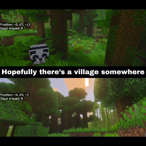 Pawsitive Comedy tweet media